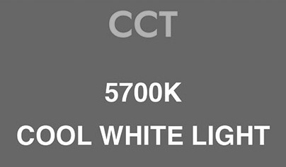 Cool White Light